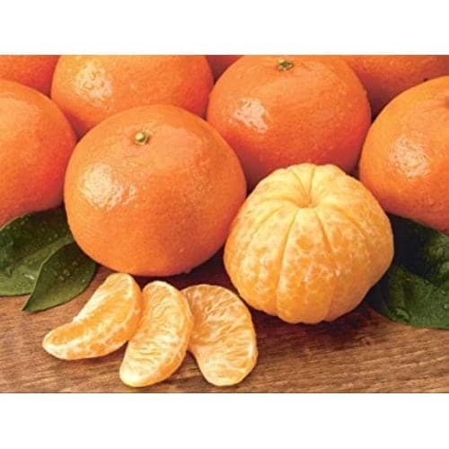 Fresh oranges, count 141