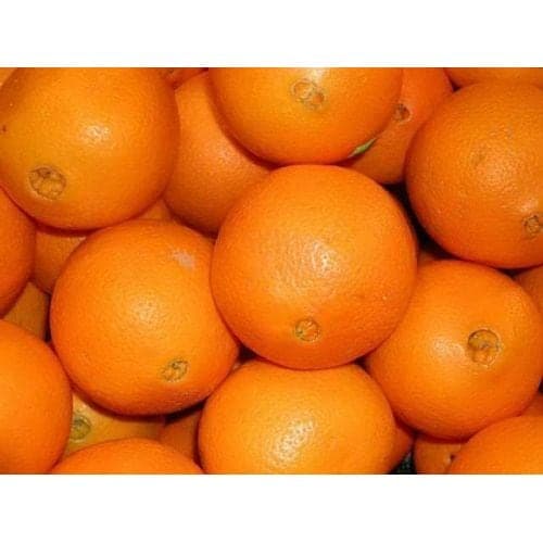Fresh oranges, count 205