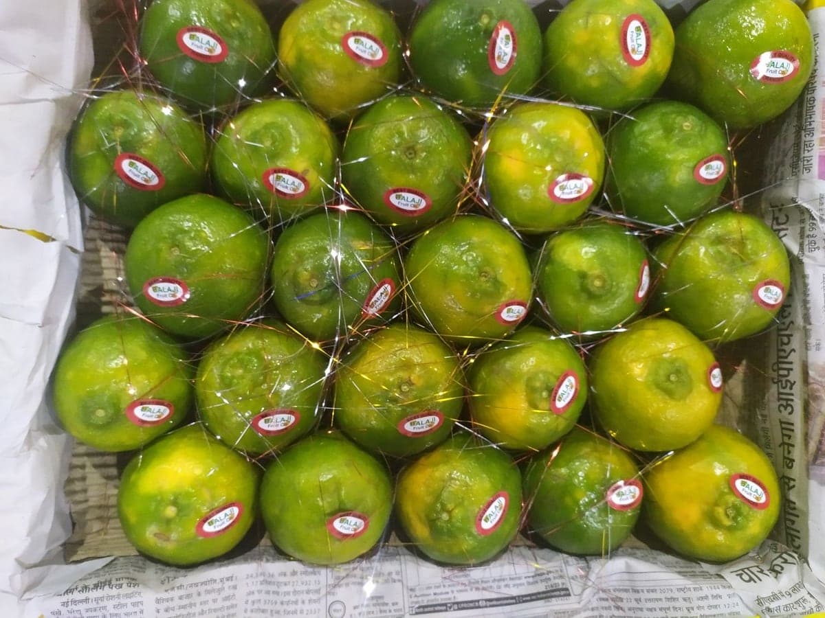 Fresh oranges, count 80, the largest fruit