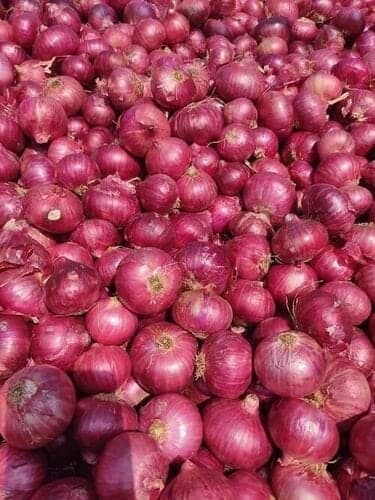 Red onions, 45 mm and above
